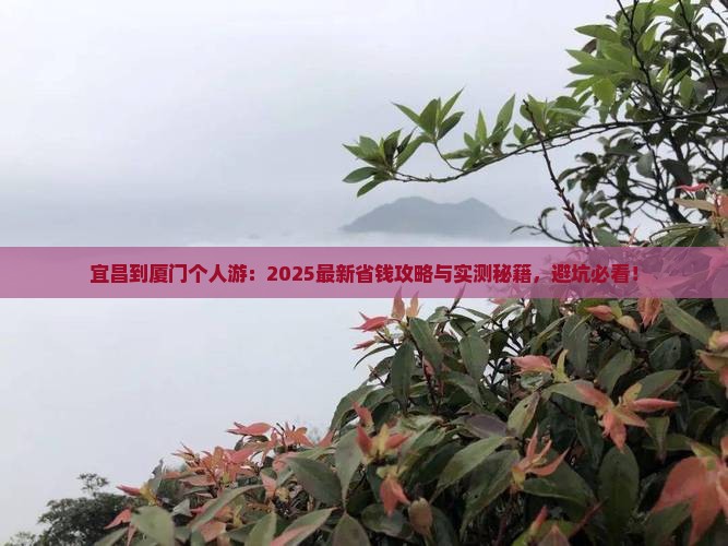 宜昌到厦门个人游