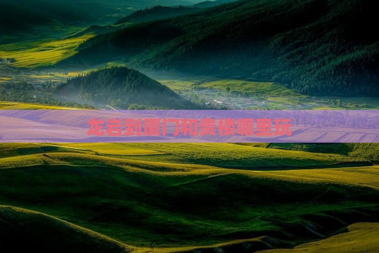 龙岩到厦门和贵楼哪里玩