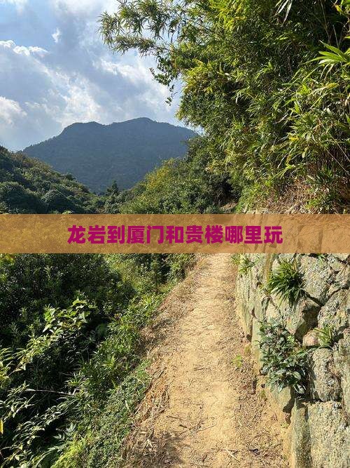 龙岩到厦门和贵楼哪里玩