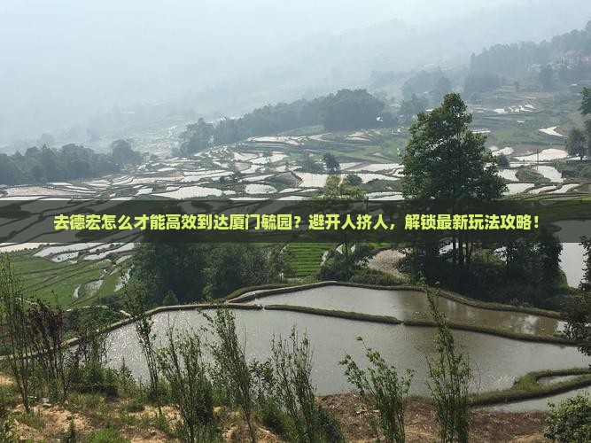 德宏去厦门毓园攻略