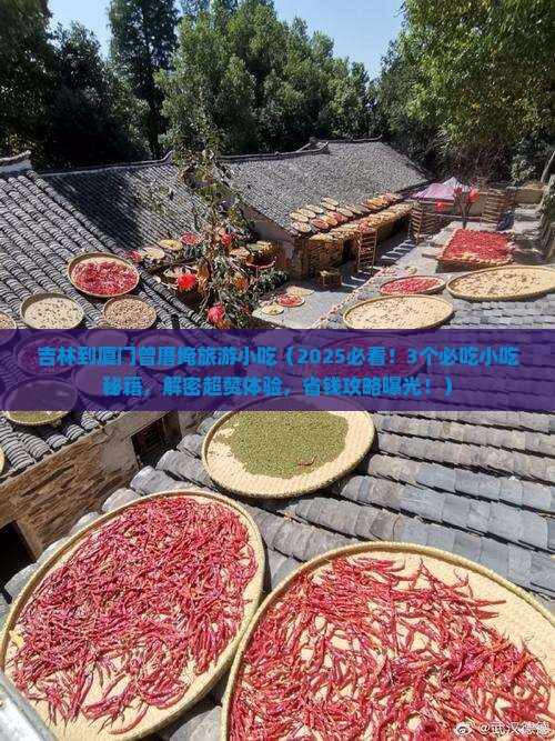 吉林到厦门曾厝埯旅游小吃
