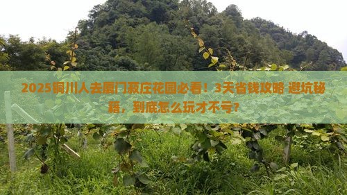 铜川到厦门菽庄花园攻略