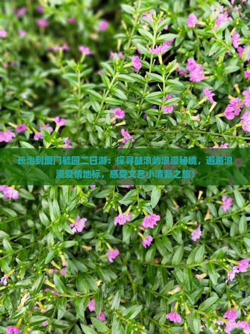 长治到厦门毓园二日游