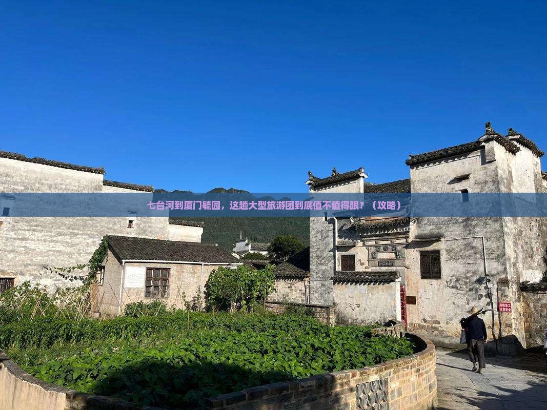 七台河到厦门毓园大型旅游团