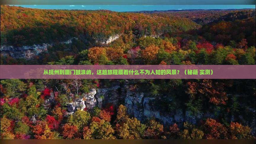 抚州到厦门鼓浪屿景点