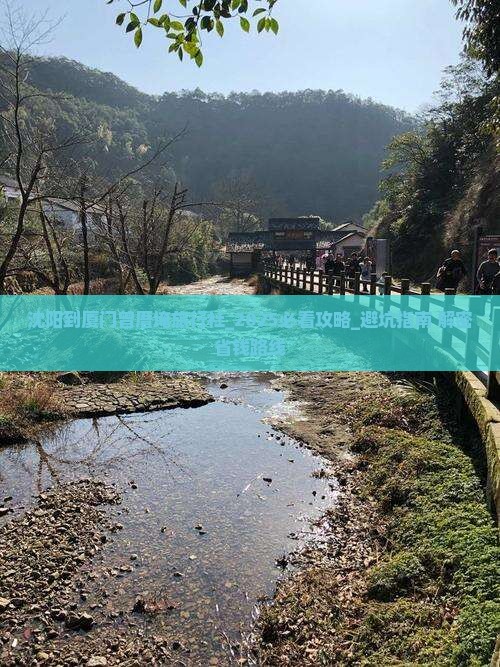 沈阳到厦门曾厝埯旅行社