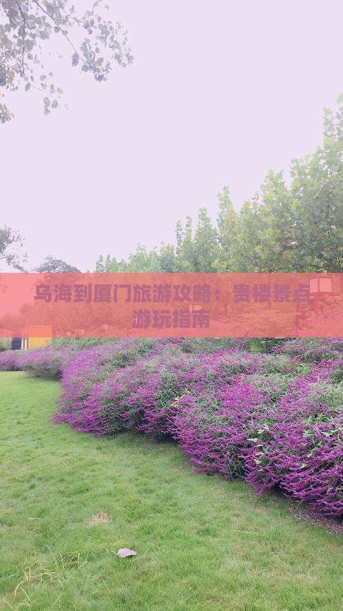 乌海市到厦门和贵楼哪里玩