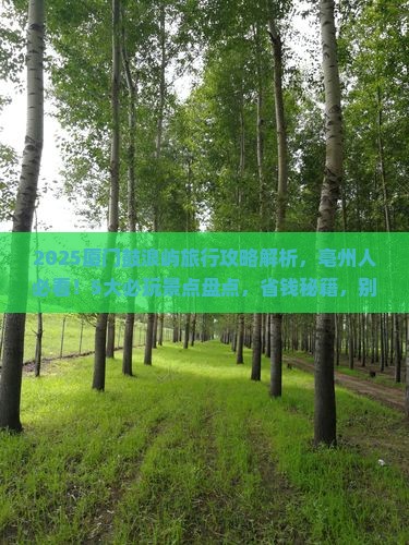 亳州去厦门鼓浪屿哪里玩