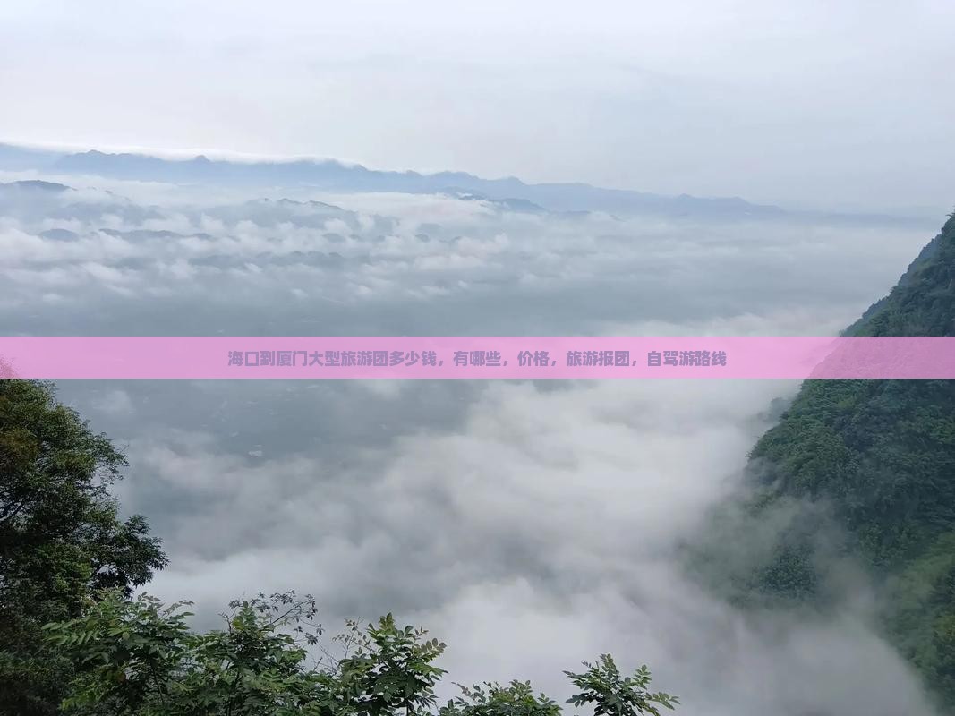 海口到厦门大型旅游团
