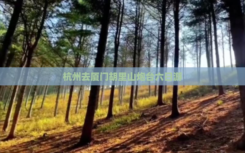 杭州去厦门胡里山炮台六日游