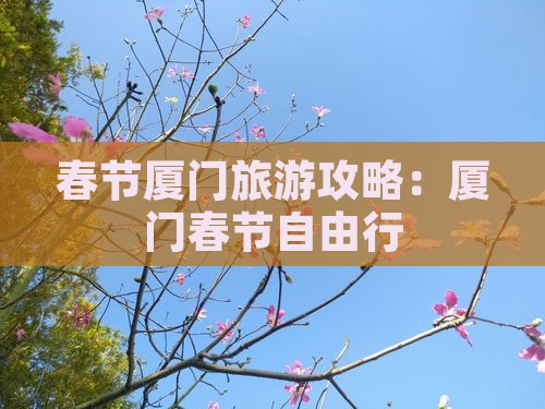 春节去厦门自由行