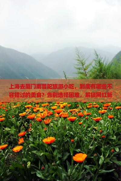 上海去厦门南普陀旅游小吃