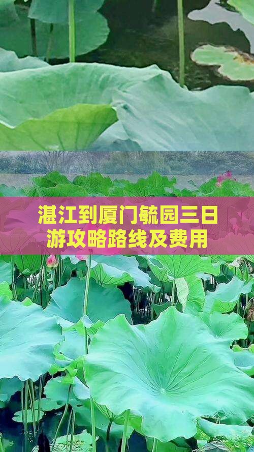 湛江到厦门毓园三日游