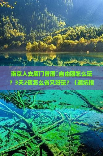 南京去厦门曾厝埯自由团