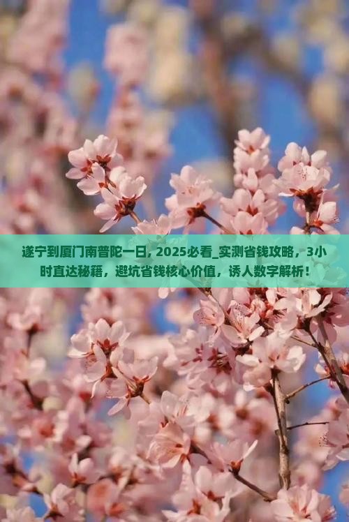 遂宁到厦门南普陀一日