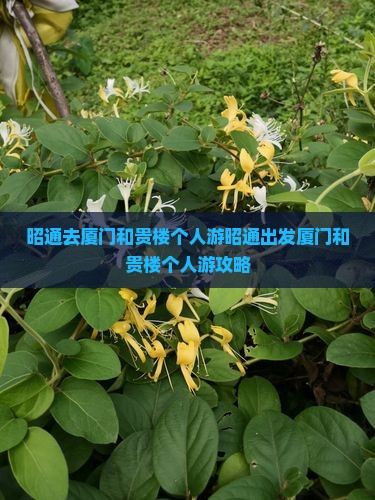 昭通去厦门和贵楼个人游
