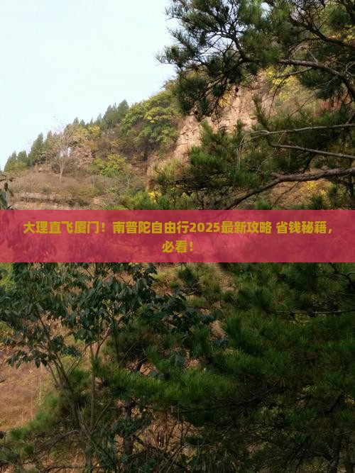 大理去厦门南普陀自由团
