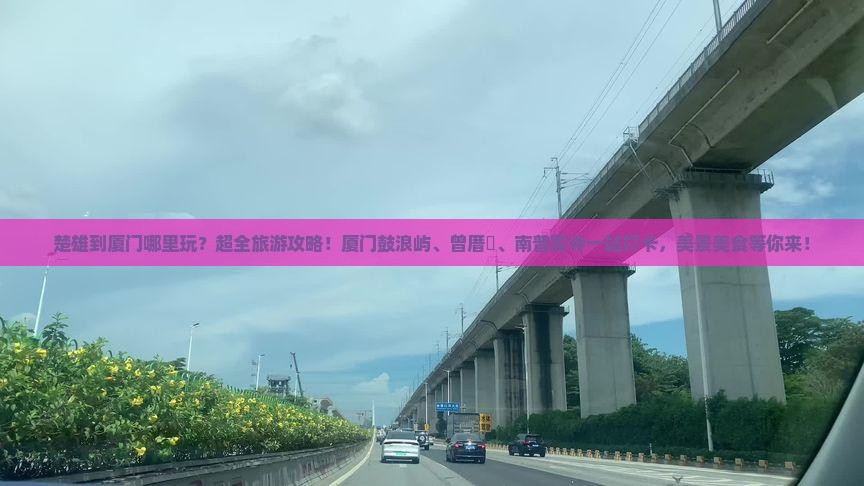 楚雄到厦门哪里玩