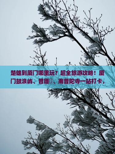 楚雄到厦门哪里玩