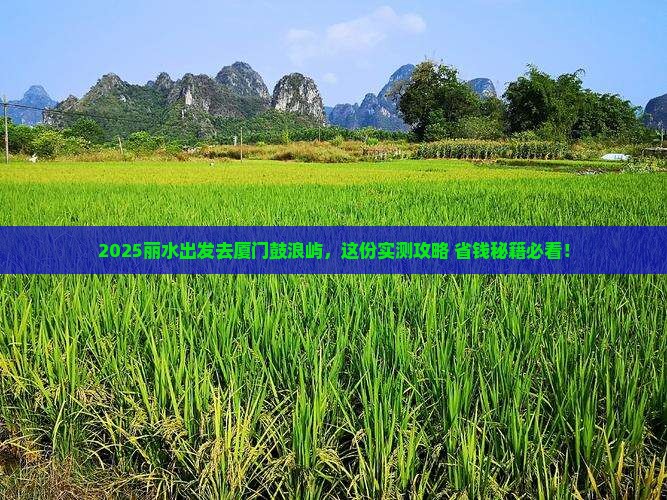 丽水去厦门鼓浪屿旅行社
