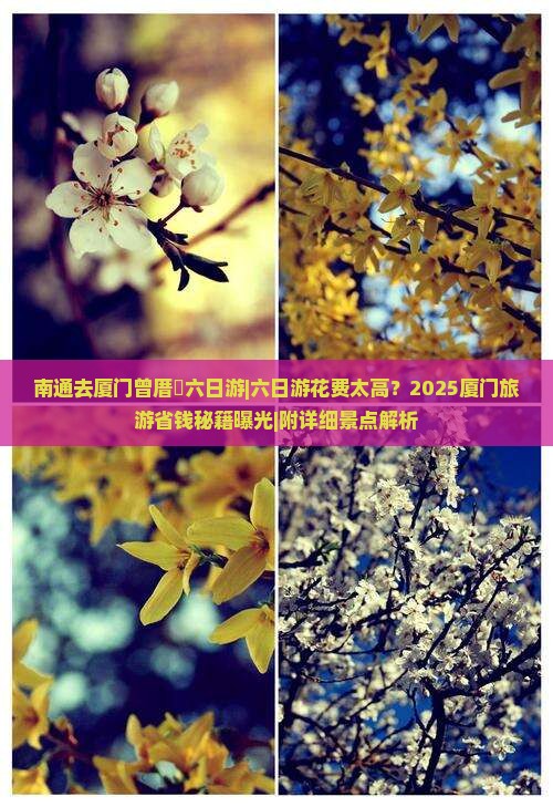 南通去厦门曾厝埯六日游