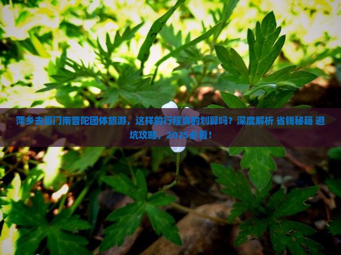 萍乡去厦门南普陀团体旅游