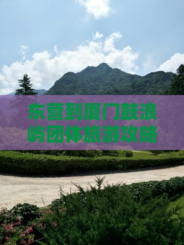 东营到厦门鼓浪屿团体旅游