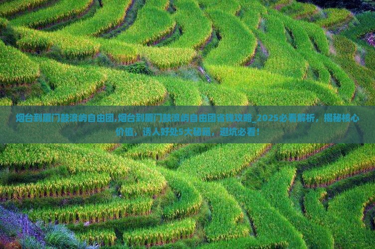 烟台到厦门鼓浪屿自由团