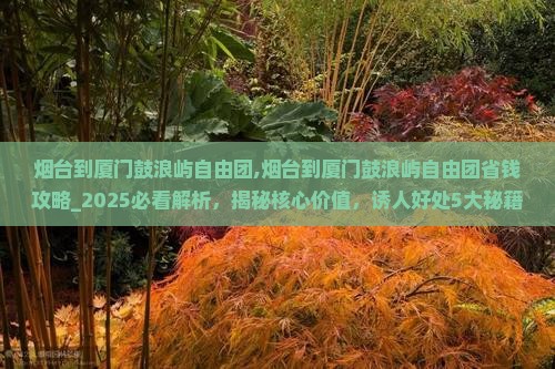烟台到厦门鼓浪屿自由团