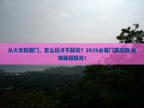 大丰去厦门门票