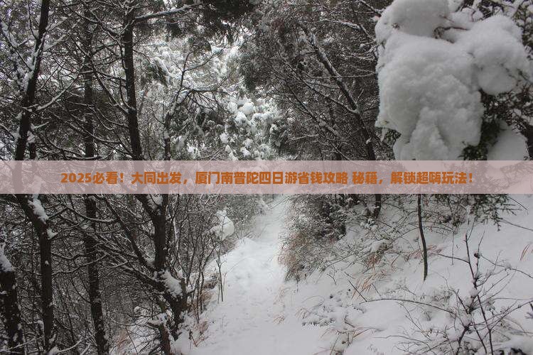 大同去厦门南普陀四日游
