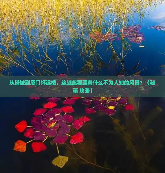 塔城到厦门怀远楼旅游