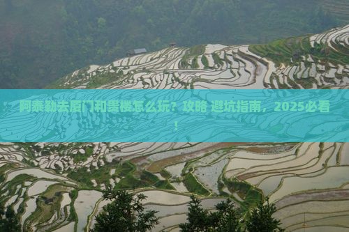 阿泰勒去厦门和贵楼哪里玩