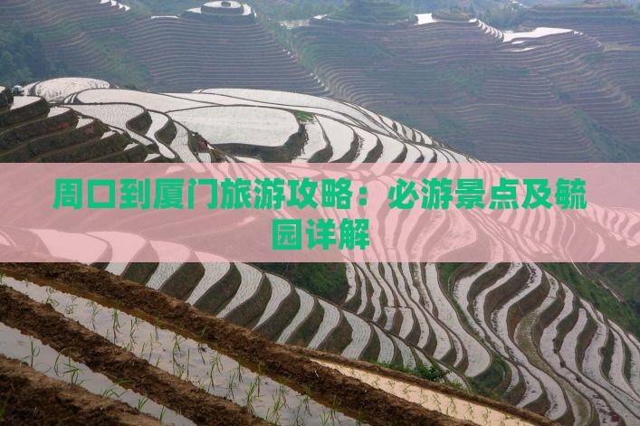 周口到厦门毓园个人游