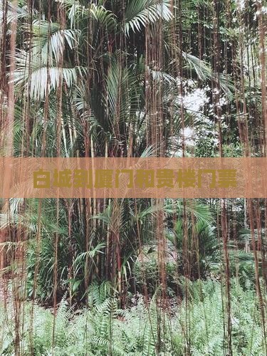 白城到厦门和贵楼门票