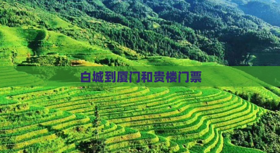 白城到厦门和贵楼门票