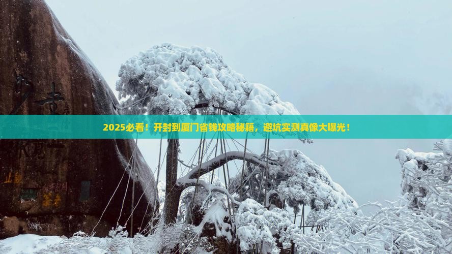 开封去厦门攻略