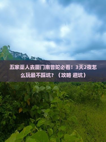 五家渠去厦门南普陀旅行社