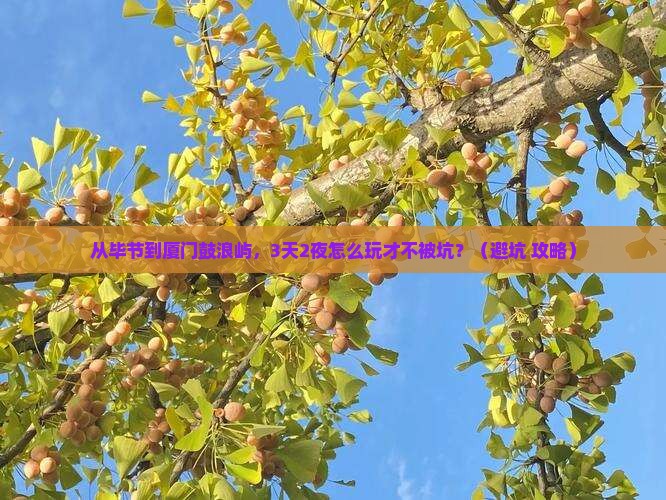 毕节到厦门鼓浪屿个人游 毕节到厦门鼓浪屿个人游