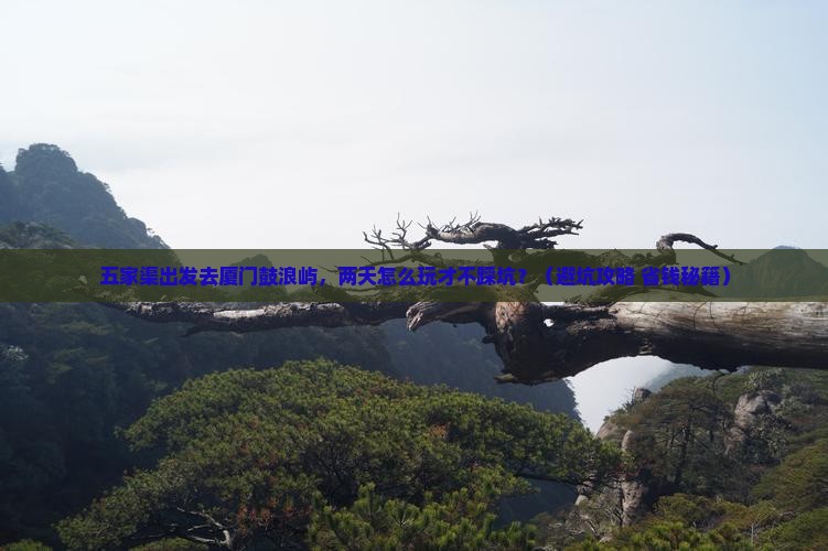 五家渠去厦门鼓浪屿二日游