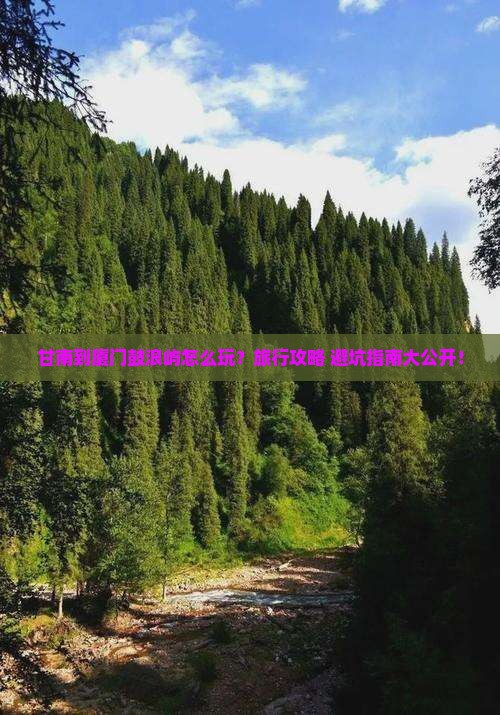 甘南到厦门鼓浪屿旅行社