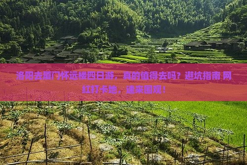 洛阳去厦门怀远楼四日游