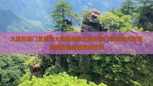 大理到厦门曾厝埯大型旅游团