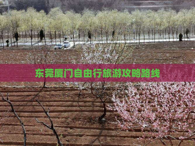 东莞去厦门和贵楼自由行