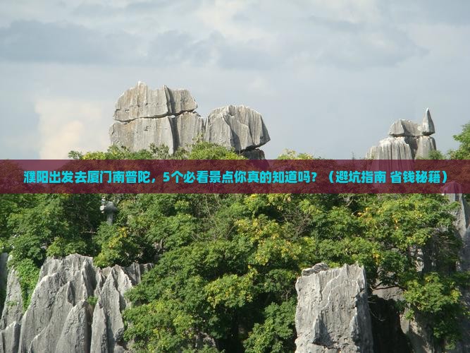 濮阳到厦门南普陀旅行社