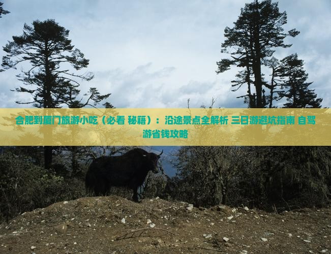 合肥到厦门旅游小吃