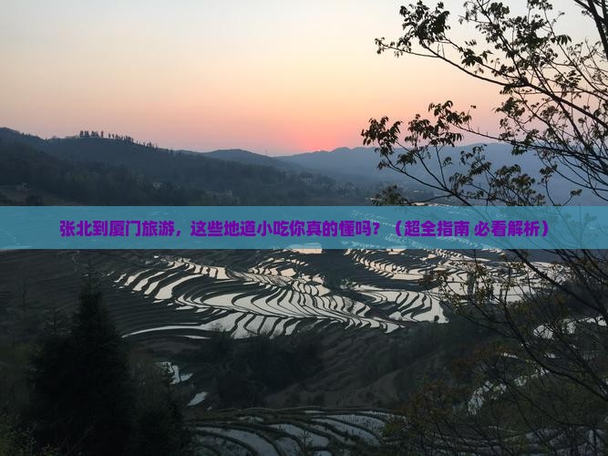 张北去厦门旅游小吃