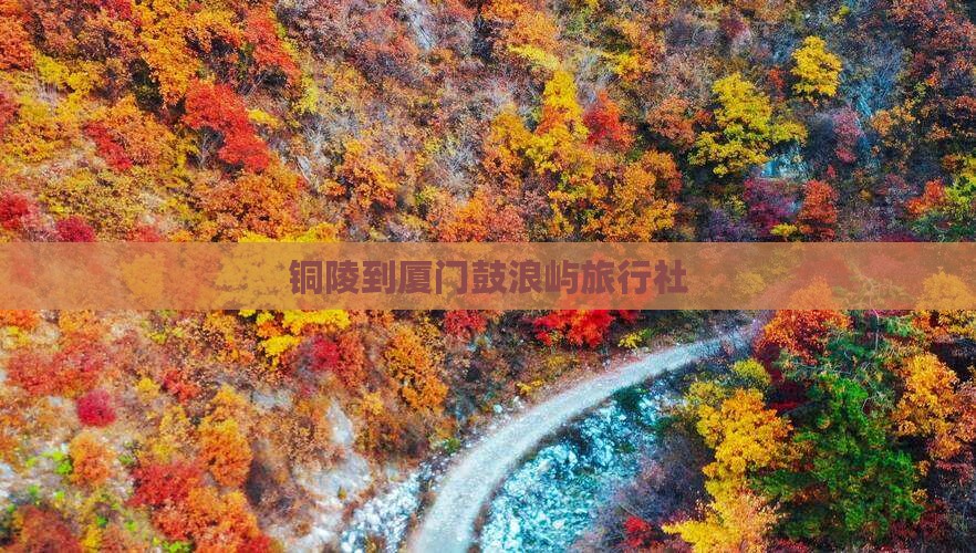 铜陵到厦门鼓浪屿旅行社