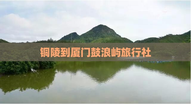 铜陵到厦门鼓浪屿旅行社