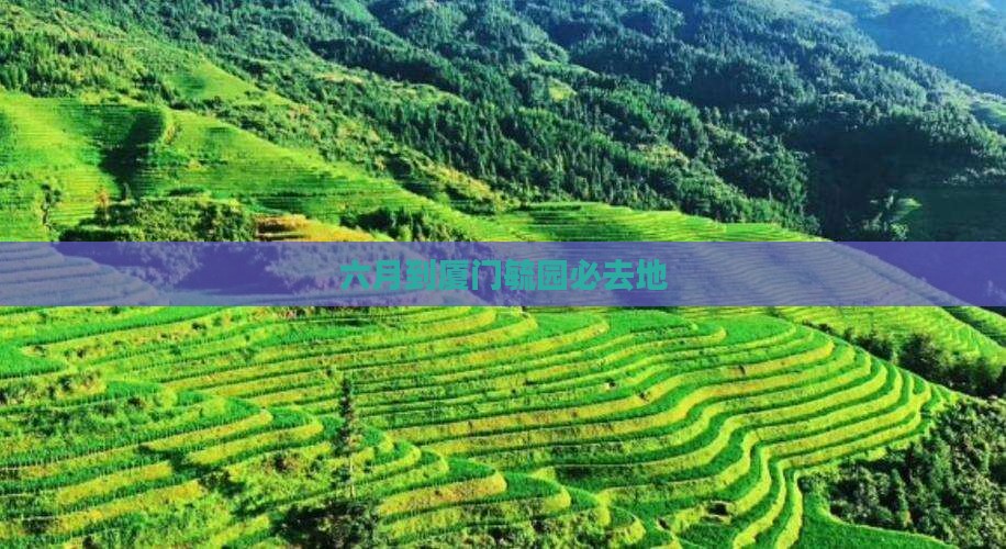 六月到厦门毓园必去地